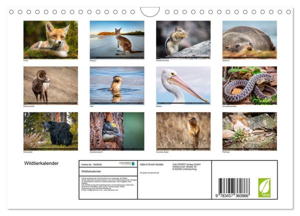 Produktbild: Wildtierkalender (Wandkalender 2026 DIN A4 quer), CALVENDO Monatskalender