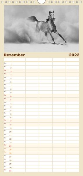 Produktbild: Familienplaner Arabische Pferde (Wandkalender 2022 , 21 cm x 45 cm, hoch)