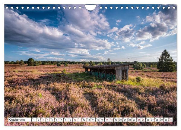Produktbild: L&uuml;neburger Heide: Die Nordheide (Wandkalender 2026 DIN A4 quer), CALVENDO Monatskalender