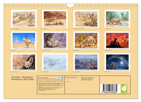 Produktbild: Fenneks - Neugierige Momente in der W&uuml;ste (Wandkalender 2027 DIN A4 quer), CALVENDO Monatskalender