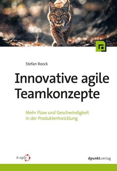 Produktbild: Innovative agile Teamkonzepte
