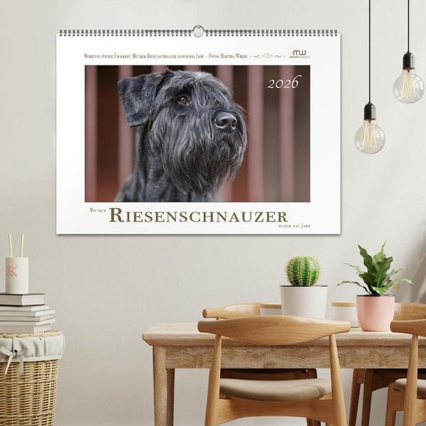 Produktbild: Mit dem Riesenschnauzer durch das Jahr (Wandkalender 2026 DIN A2 quer), CALVENDO Monatskalender