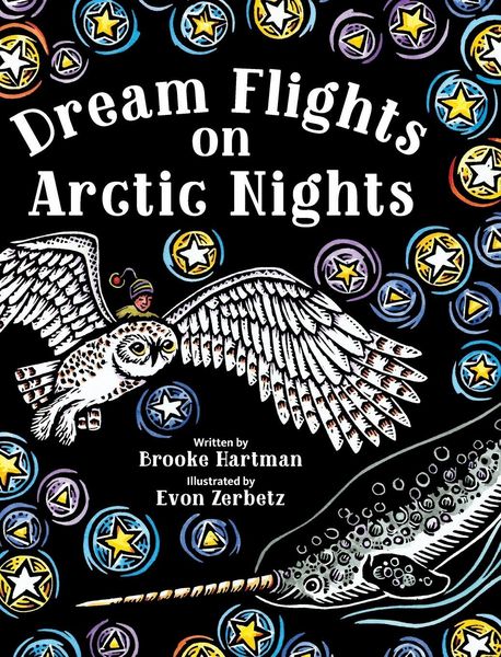 Produktbild: Dream Flights on Arctic Nights