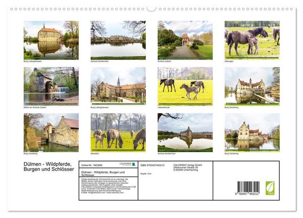 Produktbild: D&uuml;lmen - Wildpferde, Burgen und Schl&ouml;sser (hochwertiger Premium Wandkalender 2026 DIN A2 quer), Kunstdruck in Hochglanz