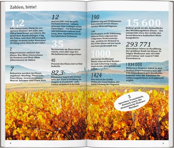 Produktbild: DUMONT direkt Reisef&uuml;hrer Elsass