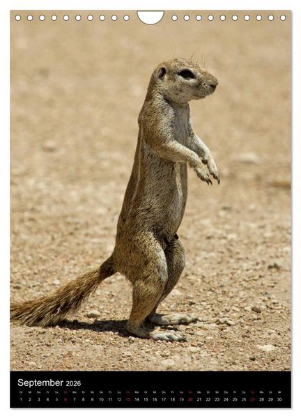 Produktbild: Tiere - Animals (Wandkalender 2026 DIN A4 hoch), CALVENDO Monatskalender
