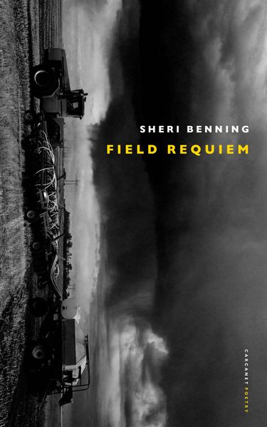 Produktbild: Field Requiem