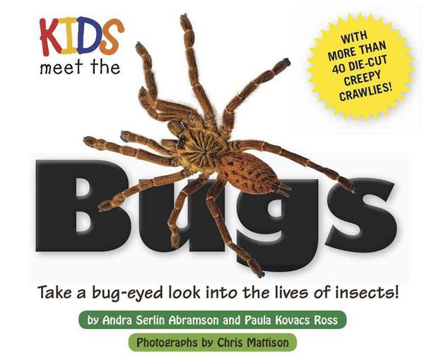 Produktbild: Kids Meet The Bugs