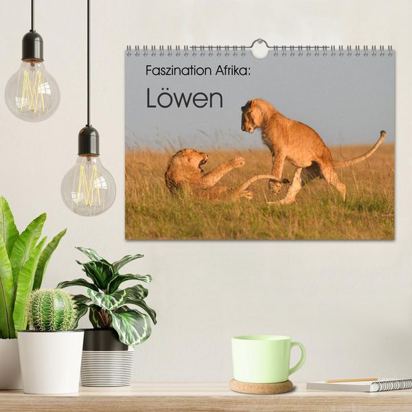 Produktbild: Faszination Afrika: L&ouml;wen (Wandkalender 2026 DIN A4 quer), CALVENDO Monatskalender