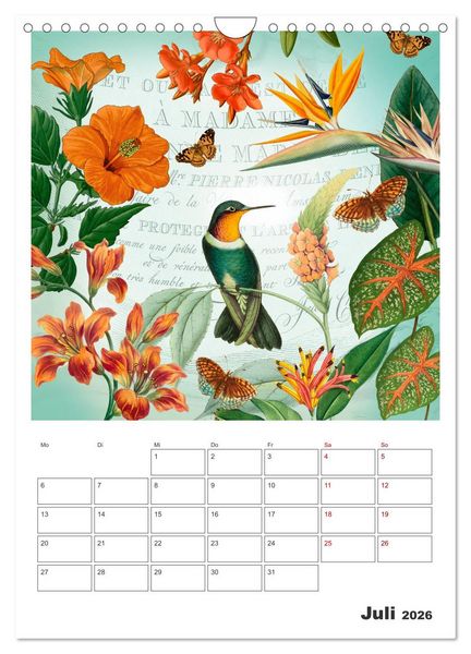 Produktbild: Das Paradies der Kolibris (Wandkalender 2026 DIN A4 hoch), CALVENDO Monatskalender