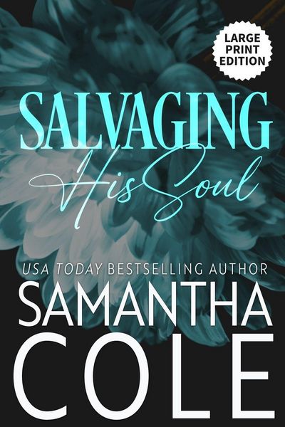 Produktbild: Salvaging His Soul