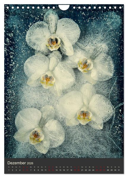 Produktbild: Magische Eisblumen (Wandkalender 2026 DIN A4 hoch), CALVENDO Monatskalender