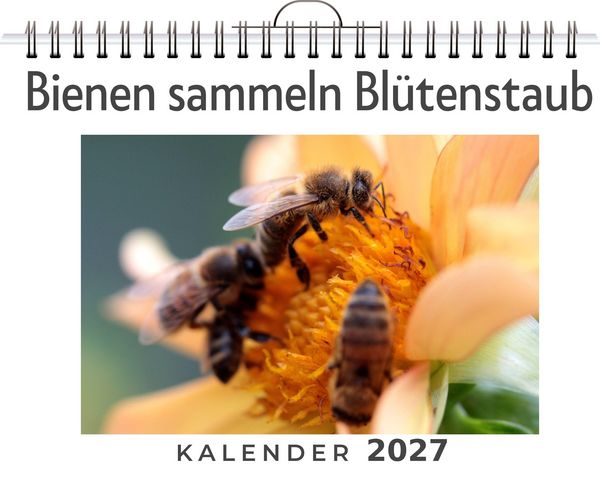 Produktbild: Bienen sammeln Bl&uuml;tenstaub