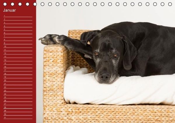 Produktbild: Deutsche Doggen / Geburtstagskalender (Tischkalender immerw&auml;hrend DIN A5 quer)