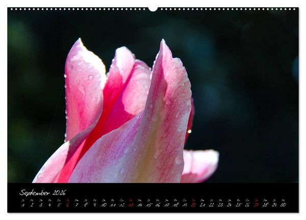 Produktbild: Butchart Gardens 2026 (hochwertiger Premium Wandkalender 2026 DIN A2 quer), Kunstdruck in Hochglanz