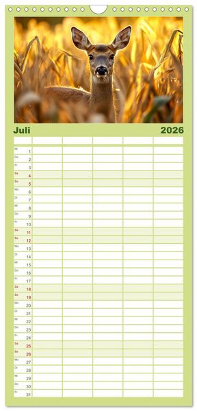 Produktbild: Familienplaner 2026 - Wilde Tierwelt im Wald mit 5 Spalten (Wandkalender, 21 x 45 cm) CALVENDO