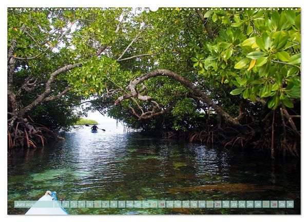 Produktbild: Raja Ampat - Impressionen (Wandkalender 2026 DIN A2 quer), CALVENDO Monatskalender