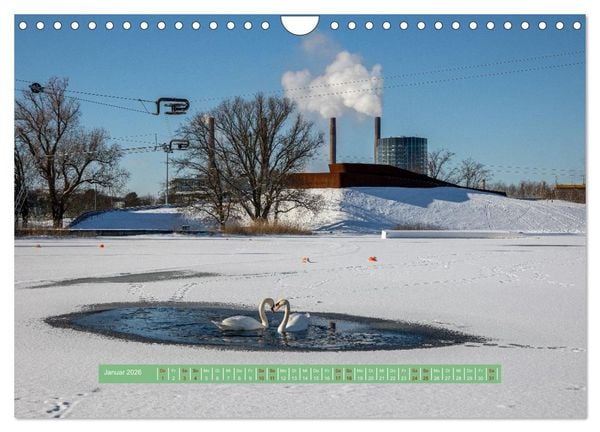 Produktbild: Wolfsburg - einfach tierisch (Wandkalender 2026 DIN A4 quer), CALVENDO Monatskalender