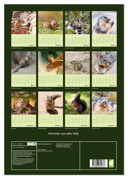Produktbild: H&ouml;rnchen aus aller Welt (Wandkalender 2026 DIN A3 hoch), CALVENDO Monatskalender