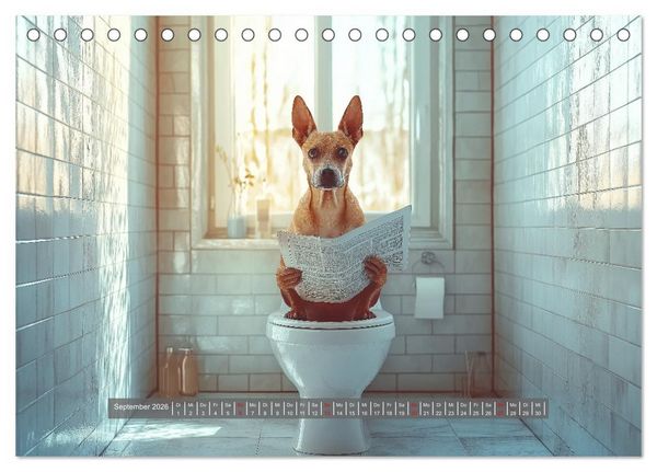 Produktbild: Sitz, Platz, Sp&uuml;l - Hunde auf dem Thron (Tischkalender 2026 DIN A5 quer), CALVENDO Monatskalender
