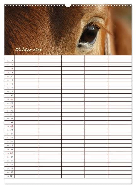 Produktbild: Der Kaltblut-Familienplaner (hochwertiger Premium Wandkalender 2026 DIN A2 hoch), Kunstdruck in Hochglanz