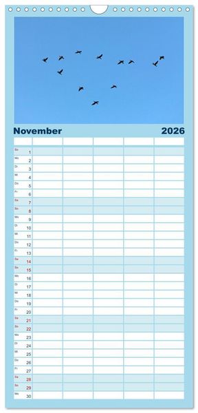 Produktbild: Familienplaner 2026 - V&ouml;gel im Flug - Akrobaten der L&uuml;fte mit 5 Spalten (Wandkalender, 21 x 45 cm) CALVENDO
