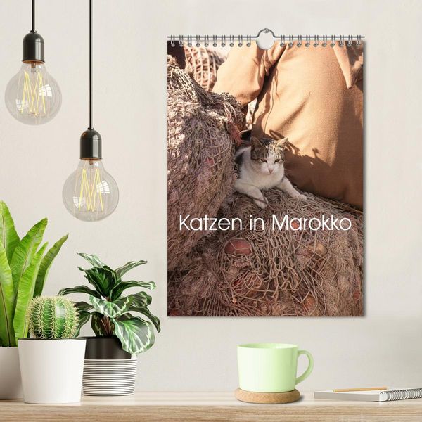 Produktbild: Katzen in Marokko (Wandkalender 2026 DIN A4 hoch), CALVENDO Monatskalender