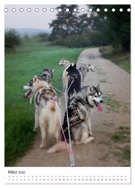 Produktbild: Faszination Husky (Tischkalender 2026 DIN A5 hoch), CALVENDO Monatskalender