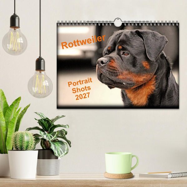Produktbild: Rottweiler Portait Shots 2027 (Wall Calendar 2027 DIN A4 landscape), CALVENDO 12 Month Wall Calendar