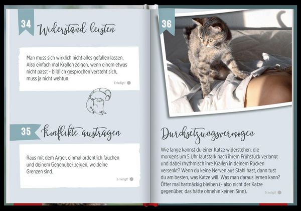 Produktbild: 100 Dinge, die man von einer Katze lernen kann