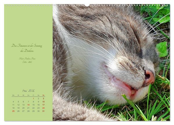 Produktbild: H&auml;ng einfach mal ab (hochwertiger Premium Wandkalender 2026 DIN A2 quer), Kunstdruck in Hochglanz