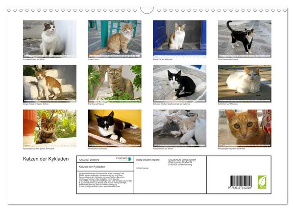 Produktbild: Katzen der Kykladen (Wandkalender 2026 DIN A3 quer), CALVENDO Monatskalender
