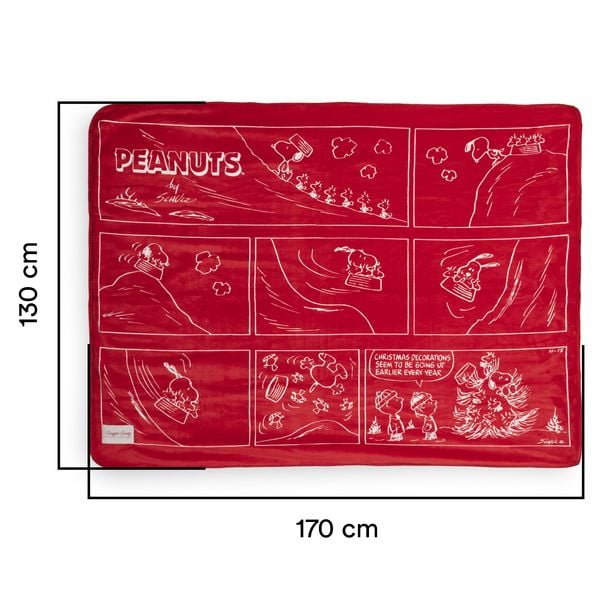 Produktbild: Decke Winter Ride, Peanuts