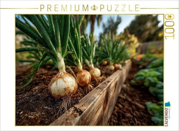 Produktbild: CALVENDO Puzzle Frische Zwiebeln wachsen im Gartenbeet | 1000 Teile Lege-Gr&ouml;&szlig;e 64x48cm Foto-Puzzle f&uuml;r gl&uuml;ckliche Stunden