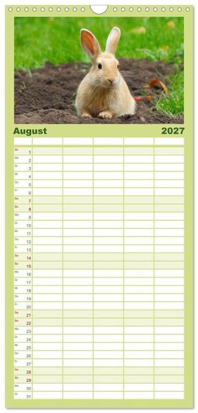 Produktbild: Familienplaner 2027 - Liebenswerte Zwergkaninchen mit 5 Spalten (Wandkalender, 21 x 45 cm) CALVENDO
