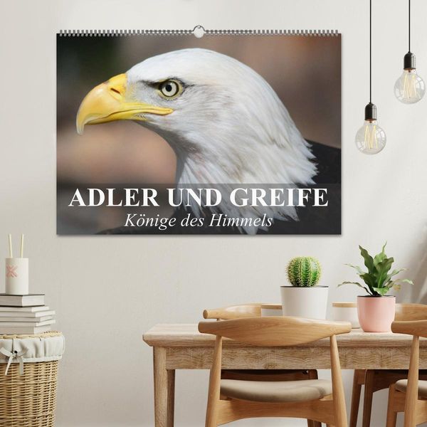 Produktbild: Adler und Greife - K&ouml;nige des Himmels (Wandkalender 2026 DIN A2 quer), CALVENDO Monatskalender