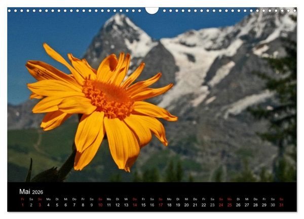 Produktbild: Zauber der Berge. Die Schweizer Alpen (Wandkalender 2026 DIN A3 quer), CALVENDO Monatskalender
