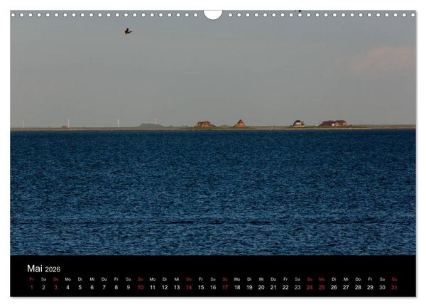 Produktbild: Pellworm 2026 (Wandkalender 2026 DIN A3 quer), CALVENDO Monatskalender