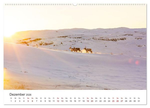 Produktbild: Zwischen den Eisbergen in Gr&ouml;nland (Wandkalender 2026 DIN A2 quer), CALVENDO Monatskalender