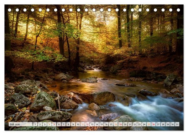 Produktbild: Wald - mystische Spazierg&auml;nge (Tischkalender 2026 DIN A5 quer), CALVENDO Monatskalender