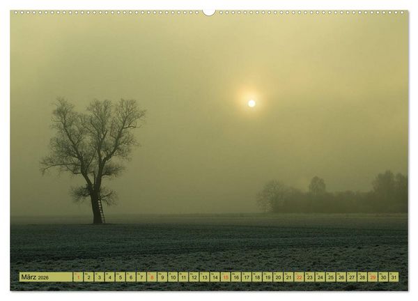 Produktbild: B&auml;ume sind Tr&auml;ume (hochwertiger Premium Wandkalender 2026 DIN A2 quer), Kunstdruck in Hochglanz