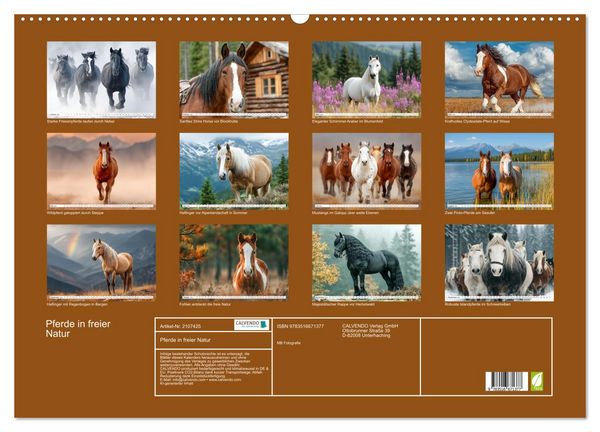 Produktbild: Pferde in freier Natur (Wandkalender 2026 DIN A2 quer), CALVENDO Monatskalender