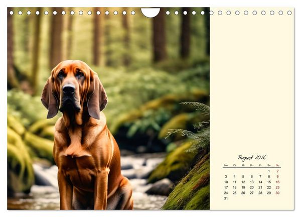 Produktbild: Bloodhound - M&auml;chtige Sp&uuml;rnase (Wandkalender 2026 DIN A4 quer), CALVENDO Monatskalender