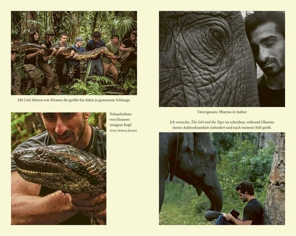 Produktbild: Into the Jungle