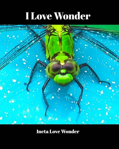 Produktbild: I Love Wonder