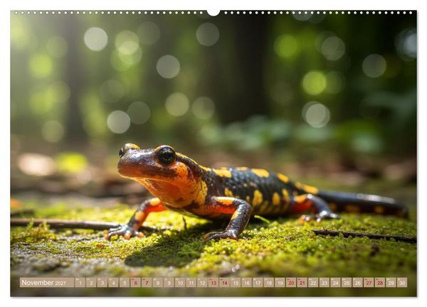 Produktbild: Gruseltiere (Wandkalender 2027 DIN A2 quer), CALVENDO Monatskalender