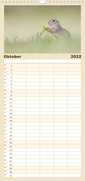 Produktbild: Familienplaner Naturfotografie (Wandkalender 2022 , 21 cm x 45 cm, hoch)