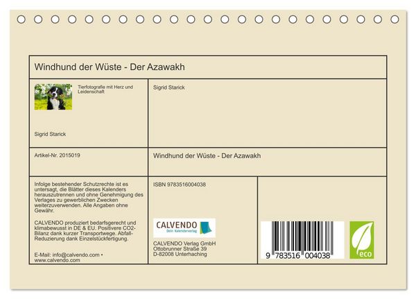 Produktbild: Windhund der W&uuml;ste - Der Azawakh (Tischkalender 2026 DIN A5 quer), CALVENDO Monatskalender