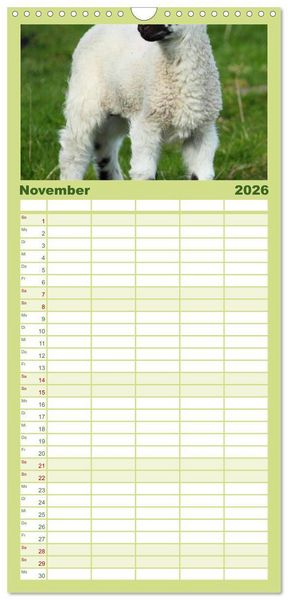 Produktbild: Familienplaner 2026 - Schafe mit 5 Spalten (Wandkalender, 21 x 45 cm) CALVENDO