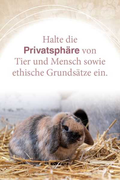 Produktbild: Mit Tieren kommunizieren